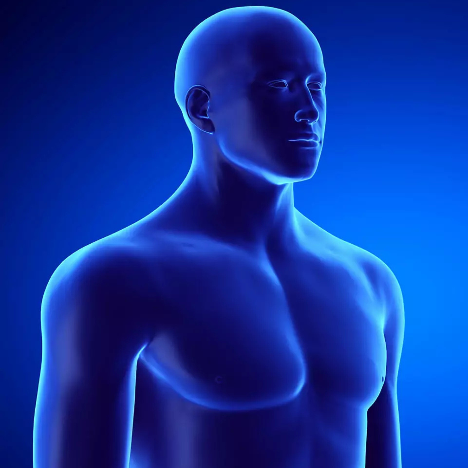 Illustration of sinus augmentation procedure for dental implant preparation